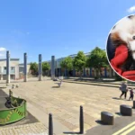 Labour Bans Fireworks in Edinburgh over Red Panda Deaths