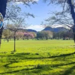 Brian Cox Edinburgh Independence Rally 2026