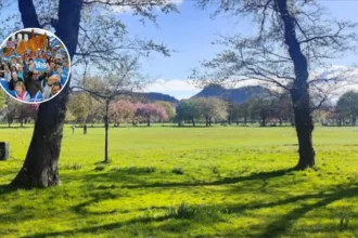 Brian Cox Edinburgh Independence Rally 2026