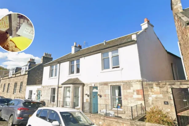 Edinburgh Toy Hospital Musselburgh Move 2026