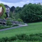 Miniature Bull Terrier Dead in St Mark's Park Edinburgh 2026