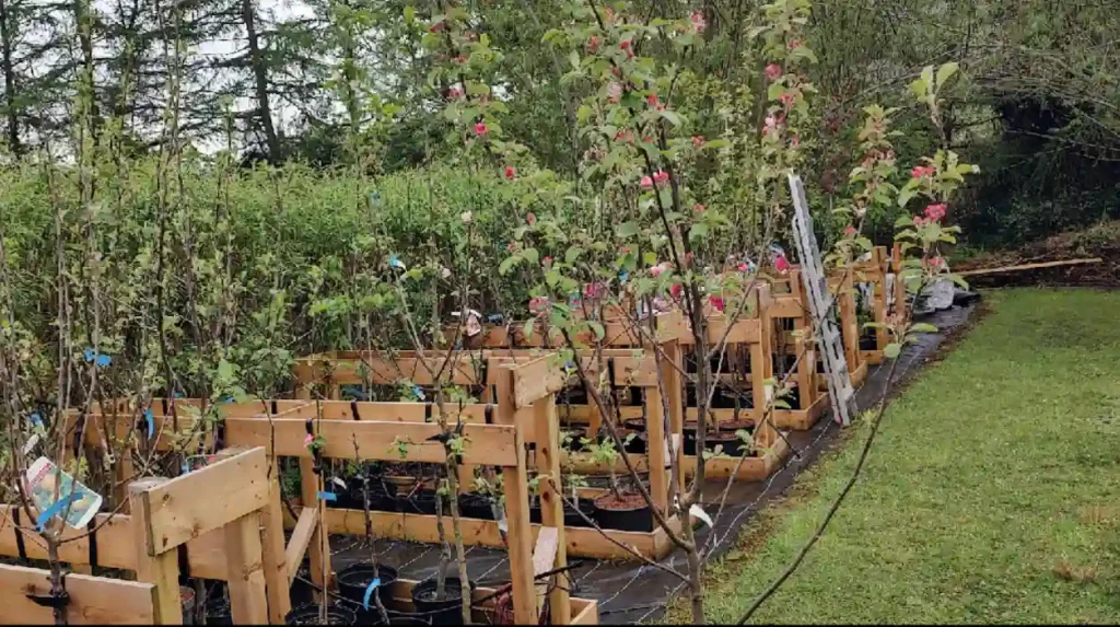 What is Mortonhall Garden Centre Edinburgh