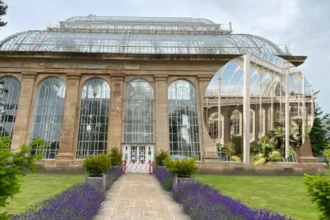 Edinburgh's Iconic Victorian Palm Houses Reopen After Extensive Restoration