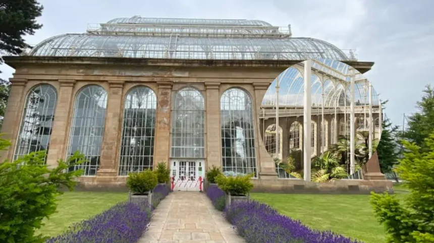 Edinburgh's Iconic Victorian Palm Houses Reopen After Extensive Restoration