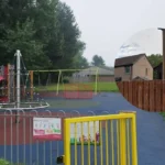 Woman dies after Edinburgh house disturbance